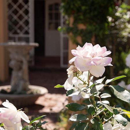 Roses And Pebbles B & B Guest House Klerksdorp Buitenkant foto