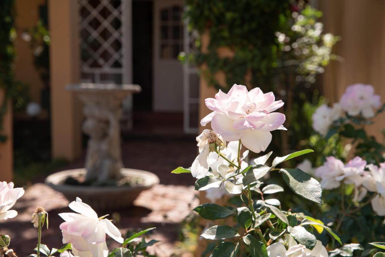 Roses And Pebbles B & B Guest House Klerksdorp Buitenkant foto
